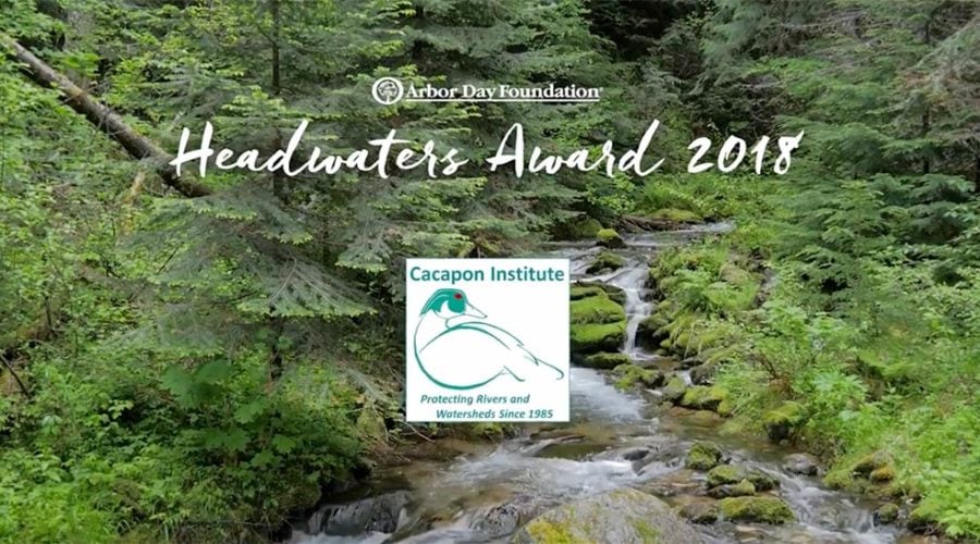 Chesapeake Tree Canopy Network highlighted Cacapon Institute