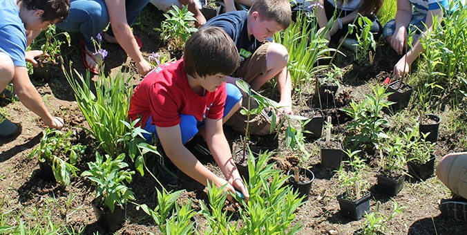 PHLOW tree planting
