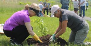 CEM provides technical, material, and financial resources for watershed conservation projects.