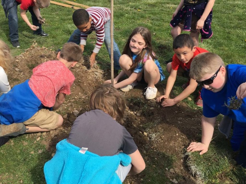 Lessons on tree structure and why trees are essential to our environment and provide food and shelter for both humans and animals.