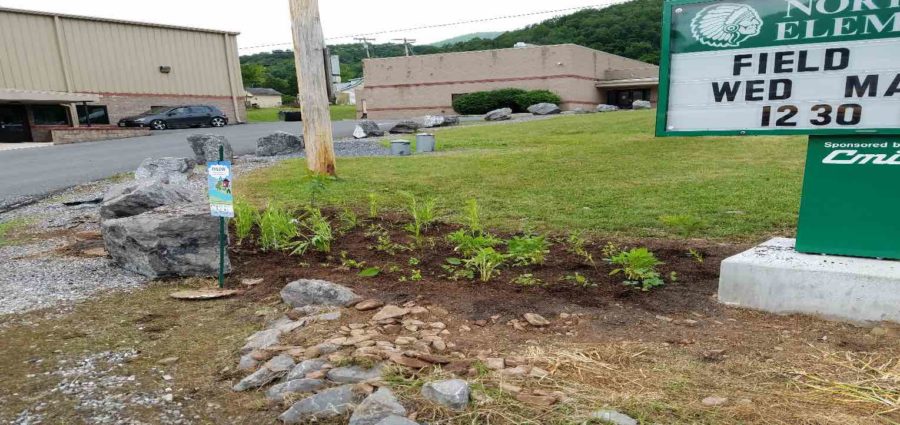 A Rain Garden For North Fork