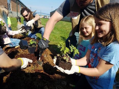 Lessons cover Watersheds, Nutrient and Sediment Pollution, Benthic Macroinvertebrates, and Rain Gardens and Native Plants.