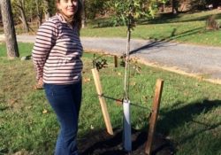 BMP Tree Planting for Stormwater management and watersheds