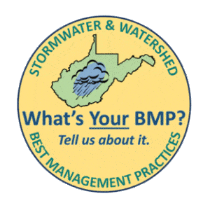 What is your BMP? Report your project...