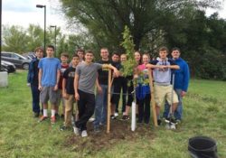 BMP Tree Planting for Stormwater management and watersheds