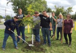 BMP Tree Planting for Stormwater management and watersheds