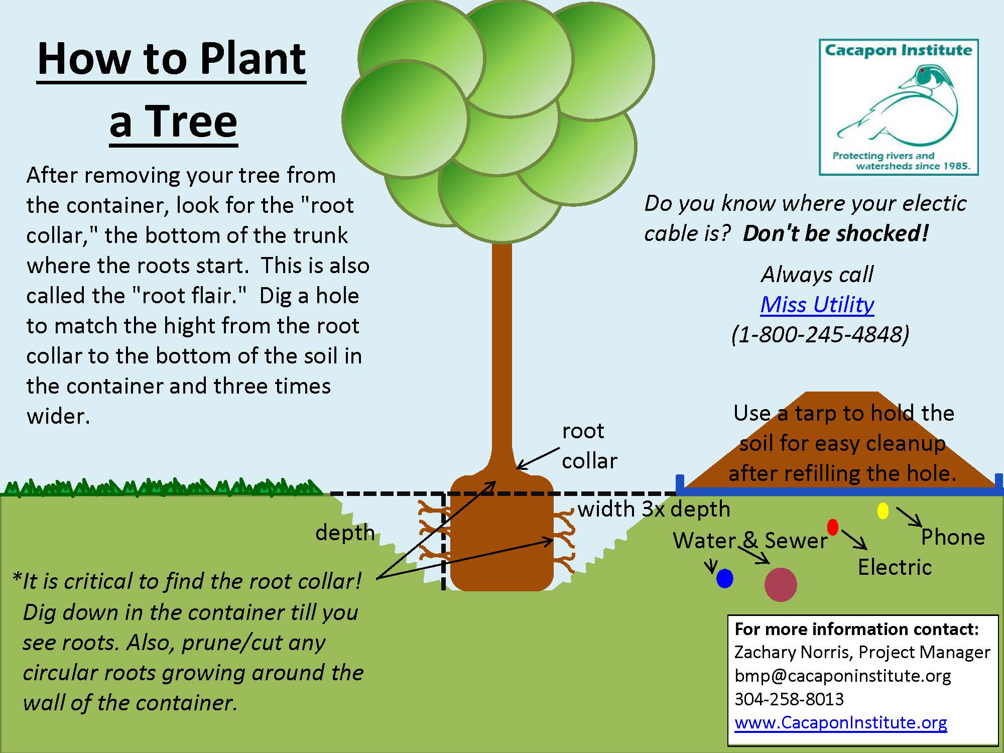 methodology in tree planting