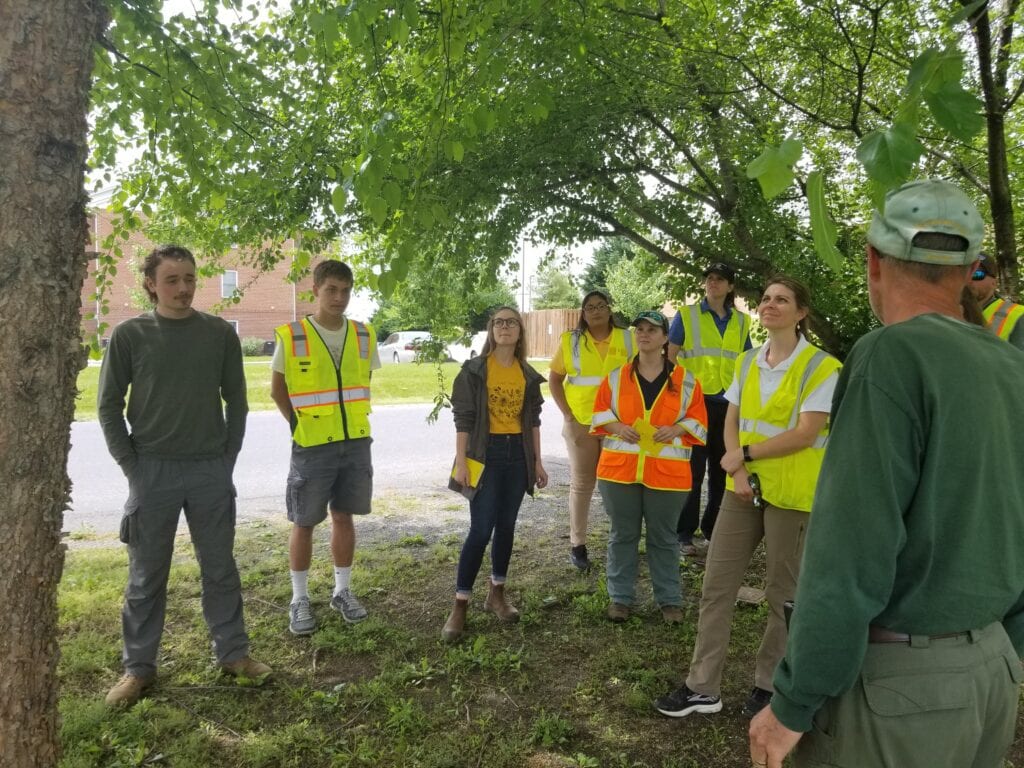 Summer Field Work
